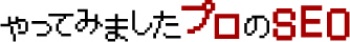 やってみましたプロのSEO