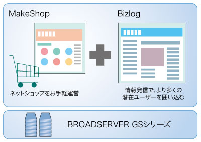 図2　オプションサービス活用例（ネットショップの場合）