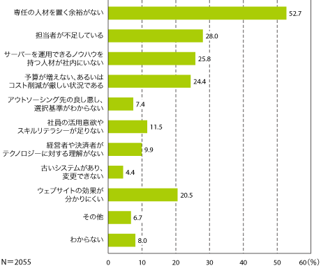 図12　ウェブサイト活用の障害（複数回答）