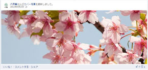 公開日：2012年4月2日