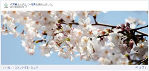 公開日：2012年4月6日