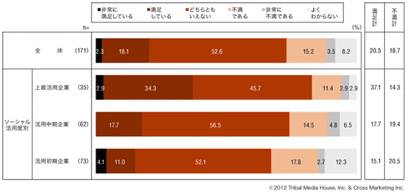 図12　ソーシャルメディアの活用満足度