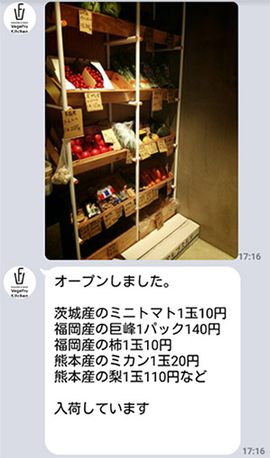 新鮮野菜の入荷情報