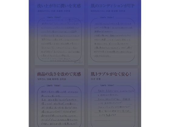 アテンションヒートマップによる仮説検証