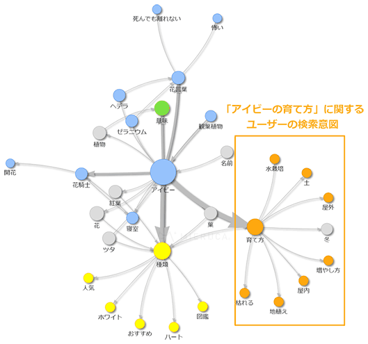 植物の「アイビー」に関するサジェストキーワードを分析したネットワーク図。「水栽培は可能か」「屋内と屋外での育て方の違い」など、検索ユーザーの知りたいことを見逃していないかの確認に使った