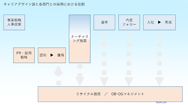 キャリアデザイン課と各部門の採用における役割