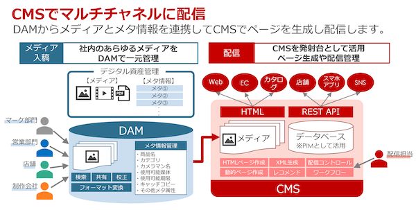 CMSとの連携でDAMが真価を発揮する