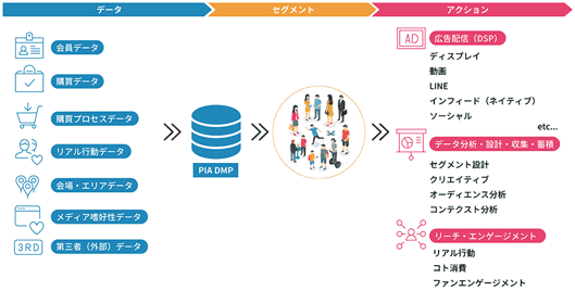 PIA DMPの概要