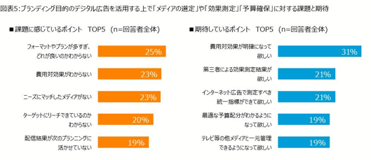 図表5：ブランディング目的のデジタル広告を活用する上で「メディアの選定」や「効果測定」「予算確保」に対する課題と期待