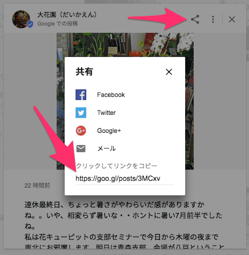 投稿の共有URL