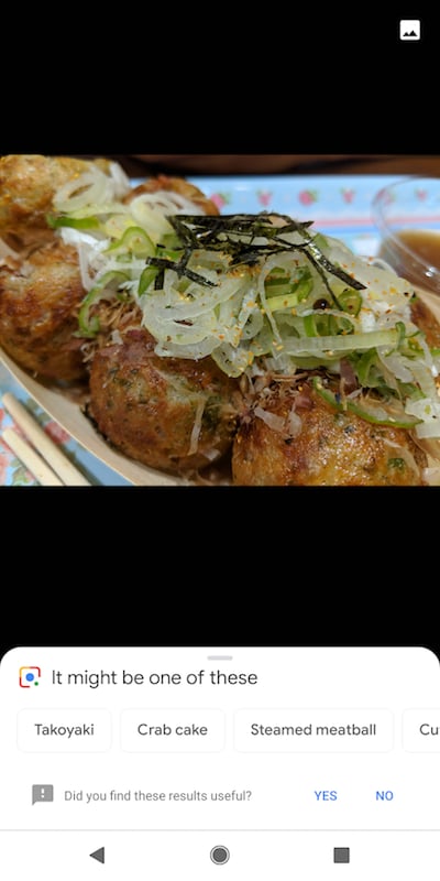 Googleレンズにタコ焼きを見せた