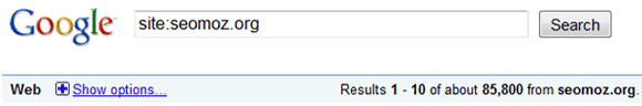 3分後にもう1度Google.comで「site:seomoz.org」を検索