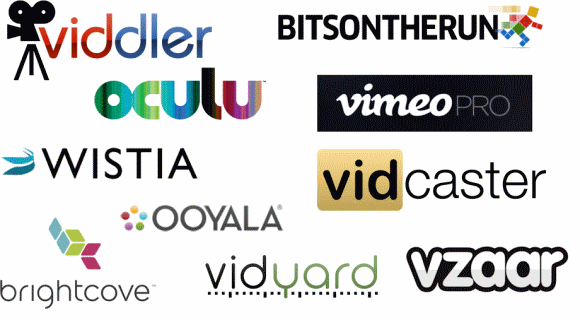 viddler、BITSONTHERUN、OCULU、vimeo PRO、Wistia、Ooyala、vidcaster、brightcove、viduard、vzaar